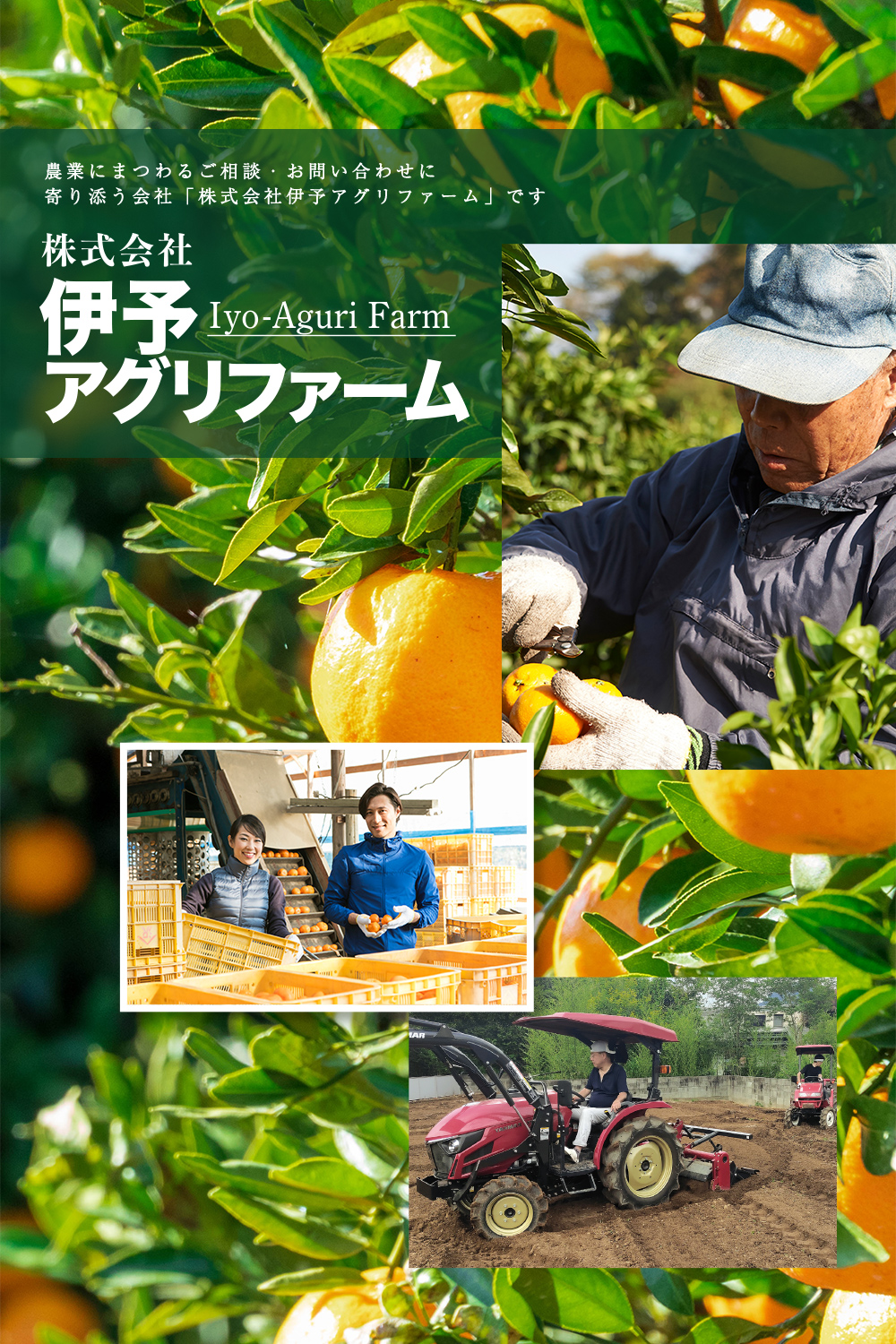 株式会社伊予アグリファーム